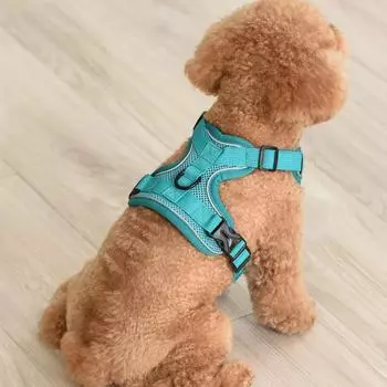 Шлейка для собак с поводком, регулируемый жилет, принадлежности для прогулок, мягкая дышащая шлейка, аксессуары для домашних животных для кошек, поводок для маленьких щенков S зелёный