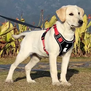 Шлейка для собак среднего/крупного размера, антифрустрационная шлейка для собак H-типа, нагрудная, черная