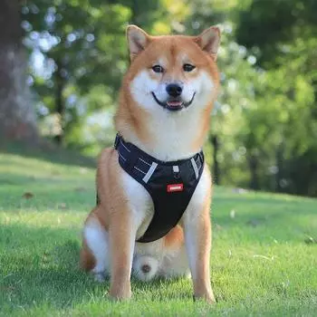 Шлейка для собак, светоотражающая, нетянущая, взрывозащищенная, маленький, средний, большой, жилет, быстрорегулируемый воротник, тренировочная шлейка для собак M Bust 46-63cm