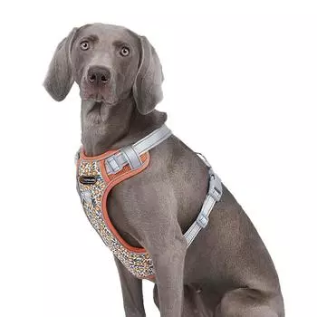 Шлейка для собак светоотражающая регулируемая дышащая подходит для средних и крупных собак немецкий ошейник веймарская легавая аксессуары для собак M
