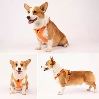 Шлейка для собак Светоотражающий регулируемый сетчатый легкий жилет для маленьких, средних и больших собак Medium чёрный