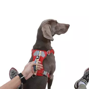 Шлейка для собак, тяговый жилет, бюстгальтер с принтом, светоотражающий прогулочный регулируемый средний и большой безопасный дышащий шлейка, аксессуары для домашних животных S