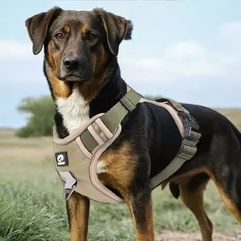 Шлейка для собак, уличное снаряжение, не тянет, регулируемая, светоотражающая, для больших собак, легко управляемая, снимаемая, тактическая шлейка для собак S (Chest 14-20in)