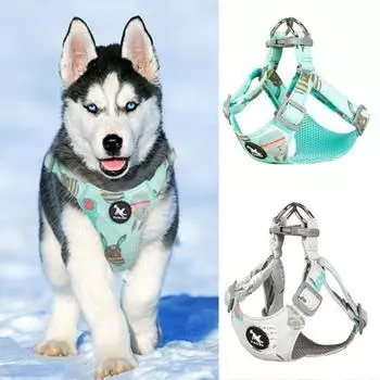 Шлейка для собак, устойчивая к разрыву, дышащая, регулируемая, с мультяшным рисунком, нагрудный ремень для домашних животных синий