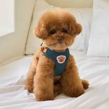 Шлейка для собаки Benny s в одно касание, зеленая