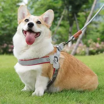 Шлейка для собаки One Q Pet Y-type, ночная с отражением света, красная
