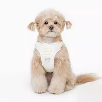 Шлейка для собаки Pet Pet Pet You and Me, бежевая