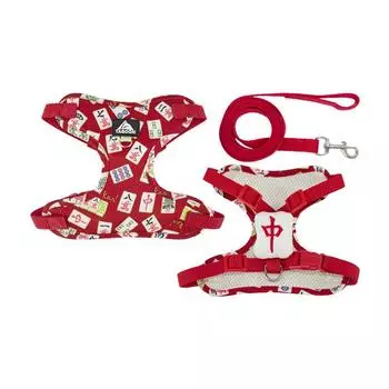 Шлейка для собаки с поводком длиной 1,5 м. Жилет для собаки без тяги с регулируемой дышащей шлейкой с принтом, подходит для щенков и кошек. XS