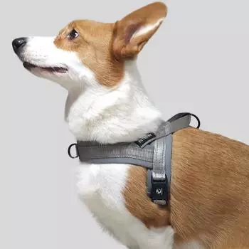 Шлейка Easy Walk для собак Petstree на воздушной подушке, СЕРАЯ