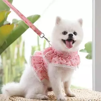 Шлейка и поводок с кружевной отделкой для девочек, жилет для маленьких собак, комплект для прогулок, защита от побега, шлейка для котенка и кошки L