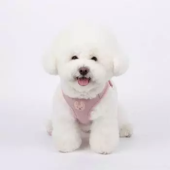 Шлейка «Its Dog Puppy My Friend», розовая