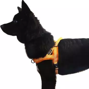 Шлейка Petstree для собак на воздушной подушке Easy Walk, ОРАНЖЕВЫЙ