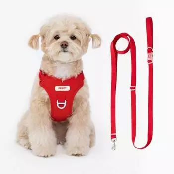 Шлейка + поводок для домашних животных Pet Pet, красный