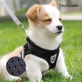 Шлейка + поводок для собаки Vivabender, черный