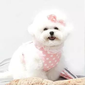Шлейка Red Puppy Dot M, Розовый, 1 шт.