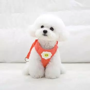 Шлейка с оборками для собак Daisy, коралловый