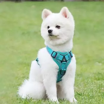 Шлейка Tookka Comfortable Dog Pet Happy Dog Tookka, мятная, 1 шт.