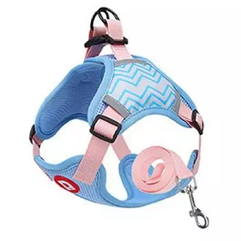 Шлейка Tookka Dog Pet Neon D Tookka Голубая S, 2 шт.