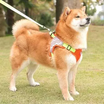 Шлейка Tookka Dog Pet Neon D Tookka Оранжевая М, 2 шт.