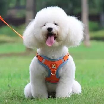 Шлейка Tookka Dog Pet Smile Tookka Оранжевый М, 1 комплект