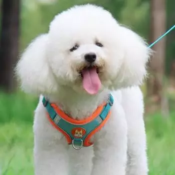 Шлейка Tookka Dog Pet Smile Tookka зеленая L, 1 комплект
