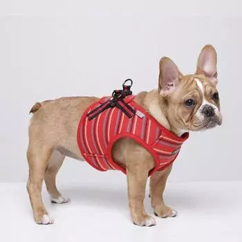 Шлейка в полоску Real Pet Theren, КРАСНАЯ