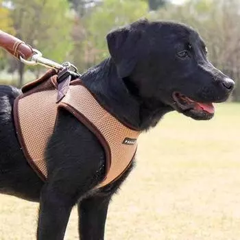 Шлейка-жилет с мягким жилетом для щенков AH305 B Style, бежевый