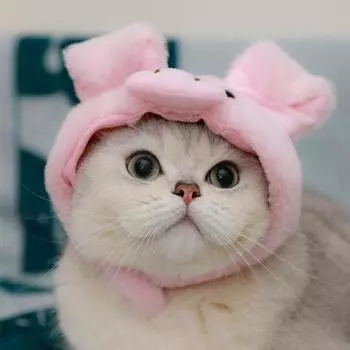 Шляпа для домашних животных, супермягкая, устойчивая к выцветанию акриловая очаровательная свинья, моделирующая шляпу для домашних животных, шляпа для кошек, декор для головных уборов S розовый
