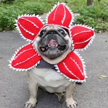 Шляпа для кошек и собак, мягкий удобный аксессуар для костюма демона с милой лентой-застежкой M красный