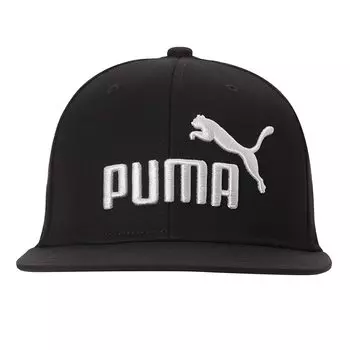 Шляпа с плоскими полями 023123 21 Цвет Фиолетовый AD [PUMA] Осень/Зима Черный/Серый (05)