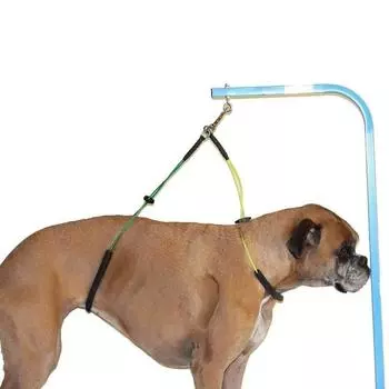 Шнур для купания питомцев, булавка для купания, колышек для кошек, колышек для собак, фиксированный стол для груминга кошек, трос для вытягивания зелёный