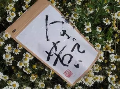 Shoeisha Жизнь горька