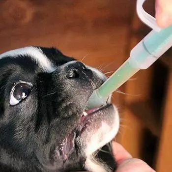 Шприц для лекарств для домашних животных Таблетки Пиллеры Нажимной дозатор Контейнер Диспенсер Инъекции для домашних животных Medici D5Z0 blue-One-size