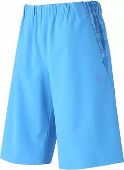 Штаны для тренировок по бейсболу DESCENTE, гибридные, полусиние, O DBMNJG31