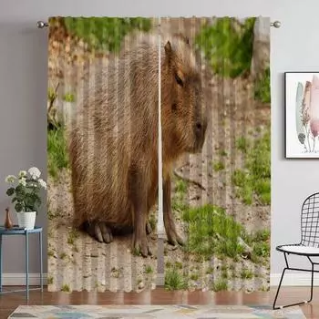 Шторы Детская комната Капибара Оконная штора для комнаты 2 панели Хэллоуин украшения Тюль для спальни Домашний интерьер Шторы W50xH70cmx2pcs-CL