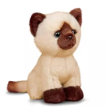 siamese cat plush cat stuffed animal animal stuffed toys kitten Siamese cat Tobar Animigos Tober Animigos