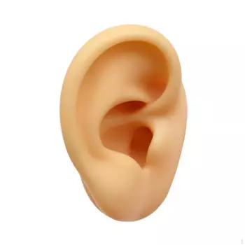 Силиконовая модель уха гибкая поддельная искусственная для демонстрации сережек имитация витрина Left Ear
