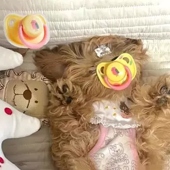 Силиконовая соска для домашних животных, устойчивая к укусам, жевательная соска, игрушки для собак, чистые зубы, игрушки для щенков, мягкая соска для кошек зелёный