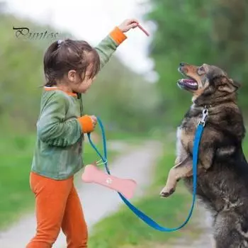 Силиконовая сумка для лакомств для собак в форме косточки, переноска для лакомств для собак на молнии с карабином для тренировок на открытом воздухе, кемпинга жёлтый