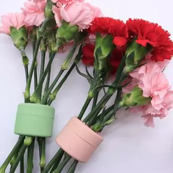 Силиконовый спиральный держатель стебля икебаны, ваза для букета «сделай сам», цветочная аранжировка, сетка с несколькими отверстиями, подставка для фиксации растений, инструмент для цветочной композиции