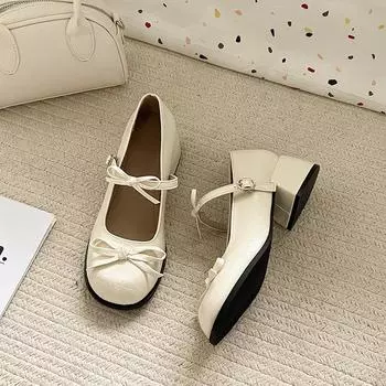 Silver thick high heel light mouth single shoes women s new spring and summer skirt JK Mary Jane shoe temperament 35