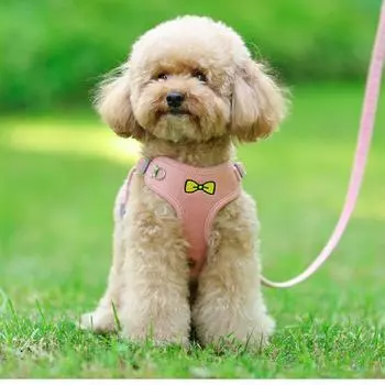 Симпатичная шлейка для домашних животных с узором в виде банта и светоотражающей полосой, вельветовый материал, удобный для ношения S зелёный