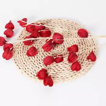 Simulated 3 Fork Physalis Peruviana Floral Wedding Hall Ceiling Decoration Home