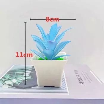 Simulation Crassula Muscosa Echeveria Laui Succulent Plant Bonsai Artificial Sword Grass