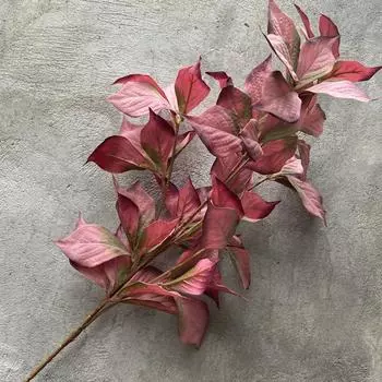 Simulation Hazelnut Leaf Green Plants Artificial Flower Decorations Wedding Dark Red