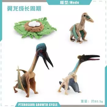 Simulation Jurassic Dinosaur Growth Cycle Model Puzzle Cognition Pterosaur Tyrannosaurus Growth Process Static Ornament