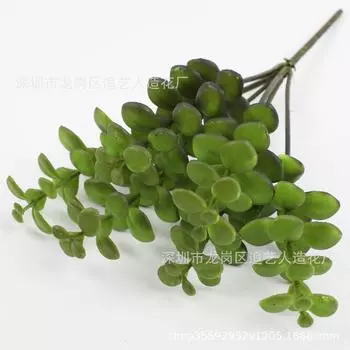 Simulation Succulent Simulation Plant Feel Soft Rubber Flower Arrangement Material Plant Wall Material Simulation Flower темно-зеленого