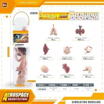 Симуляция Аэрокосмическая Архитектура Серия Древний Египет Космический Мир Строительство Набор Человеческих Органов Статическая Модель Украшение