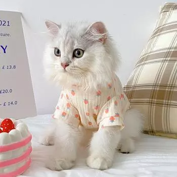 Синий летний жилет-кондиционер для кошек: Легкая одежда для котят против выпадения шерсти для британских короткошерстных и других пород XL: Chest 54cm (11-13 lbs) розовый