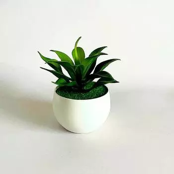 Sinocrassula Indica Artificial Potted Plant Succulent Plant For Home Decor